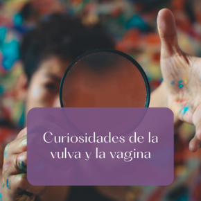 Curiosidades de la vulva y la vagina
