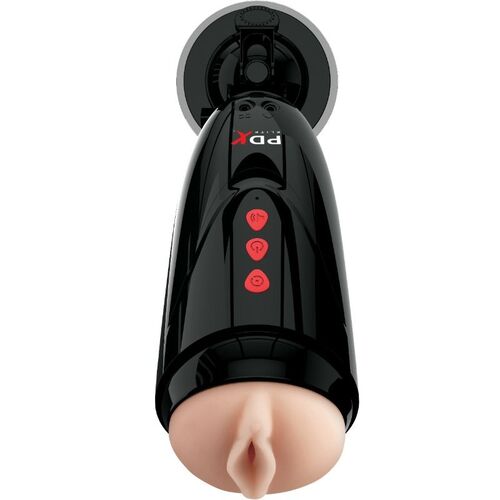 PDX ELITE DIRTY TALK STARTER STROKER MASTURBADOR VAGINA