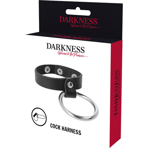 DARKNESS ANILLO DE METAL PARA EL PENE Y TESTCULOS